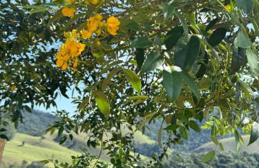 Pousada Renaissance Chalés - Foto 59