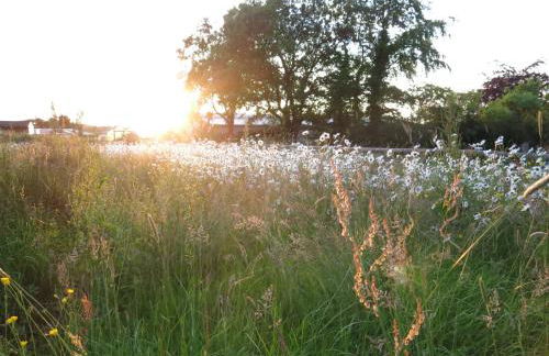 Hidden cottages Two lovely 1 bed cottages in peaceful surroundings, 1 with log burner - Foto 29