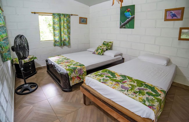 La Posada De Las Aves - Photo 13