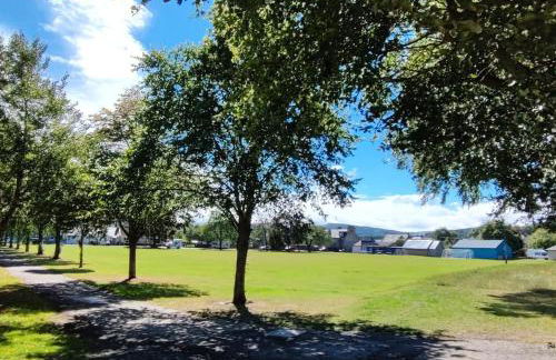 Squirrels' Drey - Foto 25