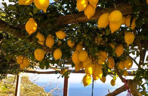 Amalfi Sea View - Photo 8