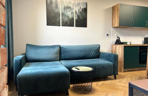 Witkacy Apartament - Photo 4