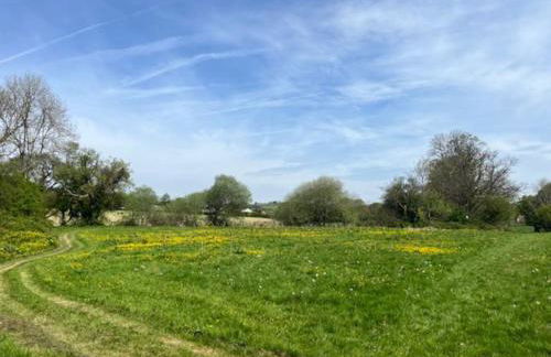 Little Dolwen - Sioned - Photo 19