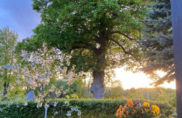 Dylewianka - Foto 62