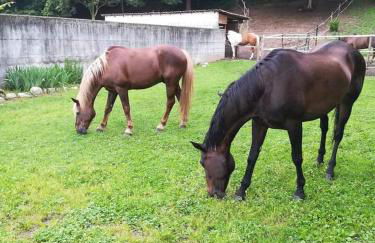 Azienda agrituristica Scotti - Foto 10