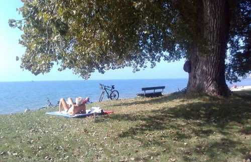 Ferienwohnung Keller Eriskirch - Photo 16