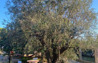 Masseria Montanari - Foto 4