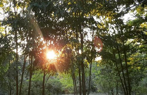 Luxury Villa Četiri Hrasta - Foto 14