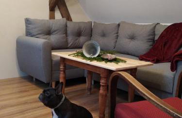 Skotopaska - Foto 26