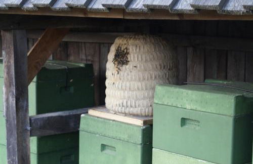 Ferienwohnungen / Ferienhaus Wahlers - Foto 43