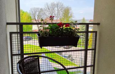 APARTAMENT TATARSKA - Foto 9