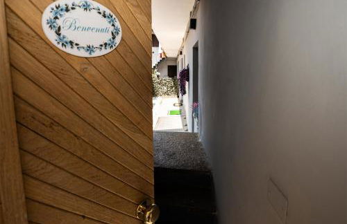 Margot Family - Photo 24