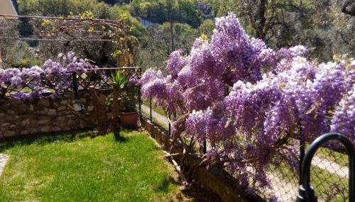 APPARTAMENTO AURORA Val di Sogno - Foto 2, Garden view