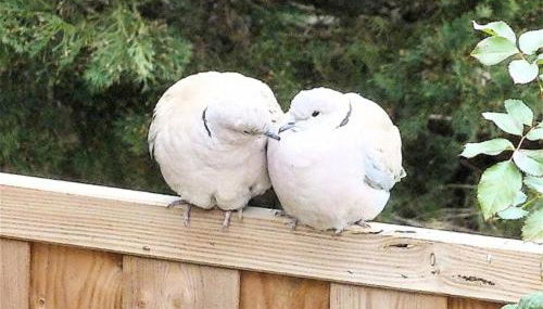 Luxurious private 100sqm studio with infinity pool - Foto 3