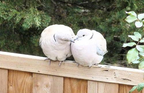 Luxurious private 100sqm studio with infinity pool - Foto 3