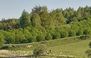 Marcinowa Zagroda - Foto 38