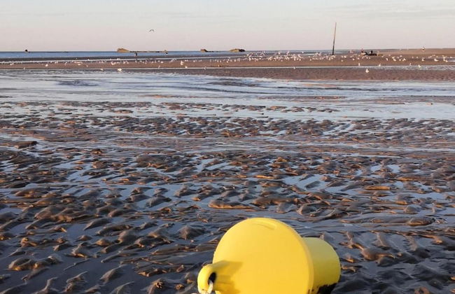 City View Family Retreat - Foto 36