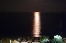 LEMONELIA, one big,4-5 people and one small apartment ,2-3 people - Foto 21