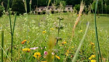 Font Neuve - Foto 5, Garden