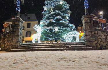 mcastet, casita aranesa en el valle de aran - Foto 49