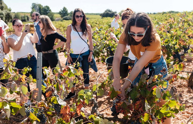 Bodegas Nodus Tour - Photo 4