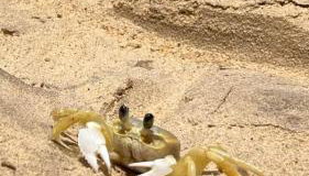 Loft na maravilhosa praia de Ubu Anchieta ES - Foto 3