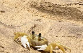 Loft na maravilhosa praia de Ubu Anchieta ES - Foto 3