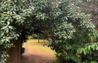 Birmingham Bungalow Serviced Apartment NEC Airport Bullring - Foto 20