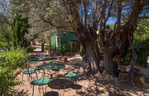 Agroturismo Son Penyaflor - Foto 15