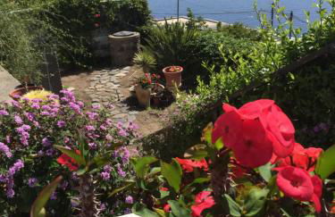 Villa Vista Mare Mela - Foto 10