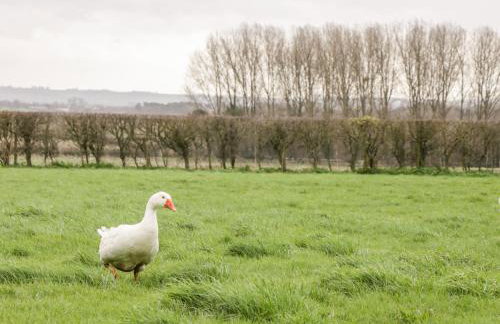 The Old Goat Barn at Trout Cottage - Foto 27