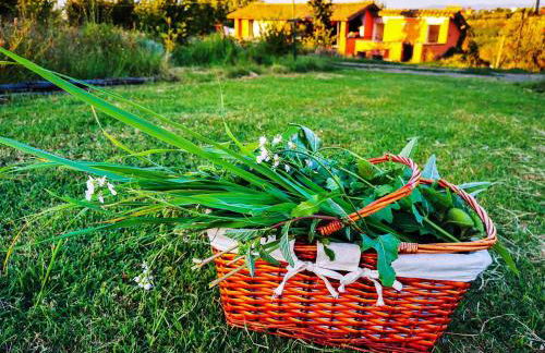 Country House Erba Regina - Foto 37