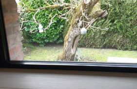 L'atypique du buisson de la gariole - Foto 33