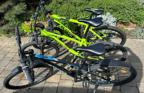 Forest paradise - Photo 40