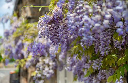 Chantry House - Foto 3