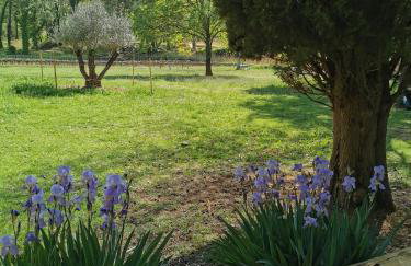 La Bastide du Capelier - Gîte pour 4 personnes avec baignoire balnéothérapie - Foto 34
