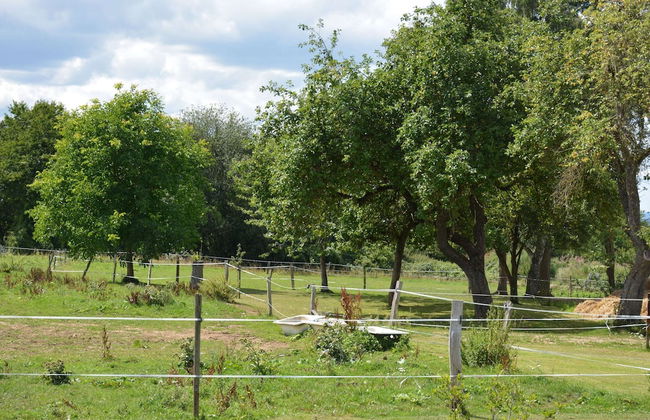 Modern Villa in Rochefort Close to the Horses - Foto 24