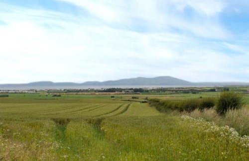 Gulls Hatch - Foto 22