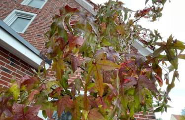 WORKATION Luxury Nature House , 10 min VW , Relax from Work mit Terrasse, Balkon und Parkplatz - Foto 26