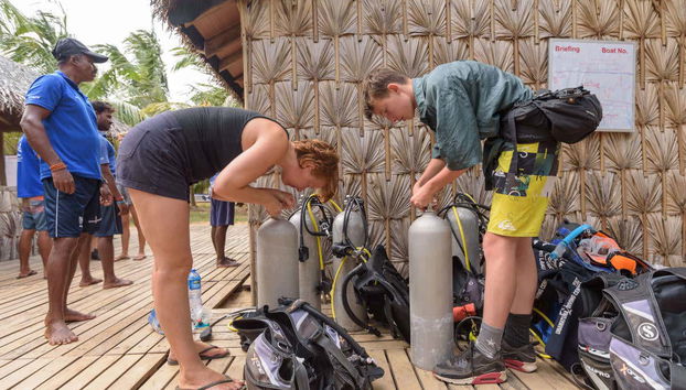 Você aprenderá a montar o seu equipamento
