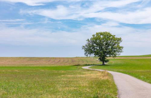 Kloster Suite, Aussensauna, Hottube - ÜhlingenBirkendorf - Foto 24