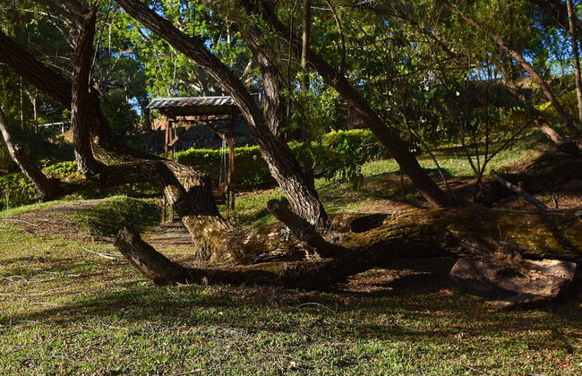 Cabañas La Laguna Lodge - Foto 28