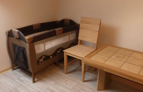 Goldener Fuchs in Moschendorf - Foto 35