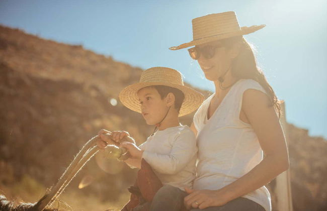 Horseback Riding in Cochiguaz - Photo 6