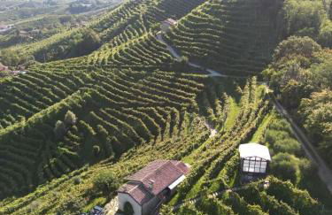 Agriturismo Il Conte Vassallo - Foto 3