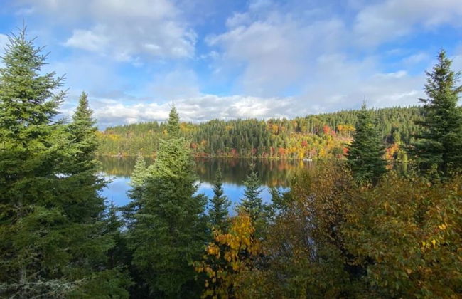 Cottage by the Lake Great Tranquility, Without Motor Boats - Foto 10