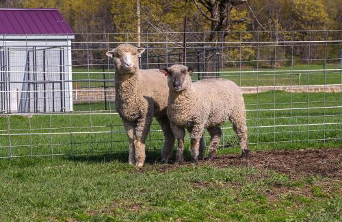 Upstate New York Vacation Rental Near Cooperstown! - Foto 22