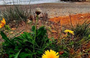 Liviko View - Foto 46