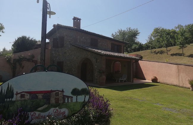 La Collina dei Ciliegi - Photo 34