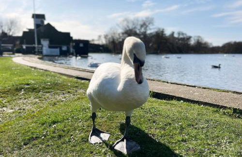 Spinney's Boathouse by The Suffolk Cottage Collection - Photo 17